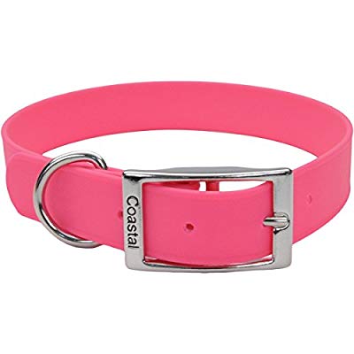 COASTAL Titan Dog Collar, Bright Pink • Petmania Ireland